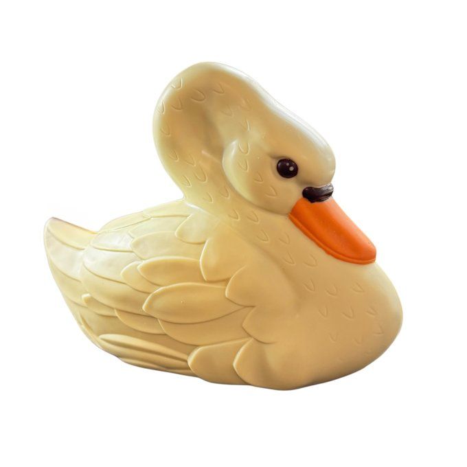 Moulage Grand Cygne