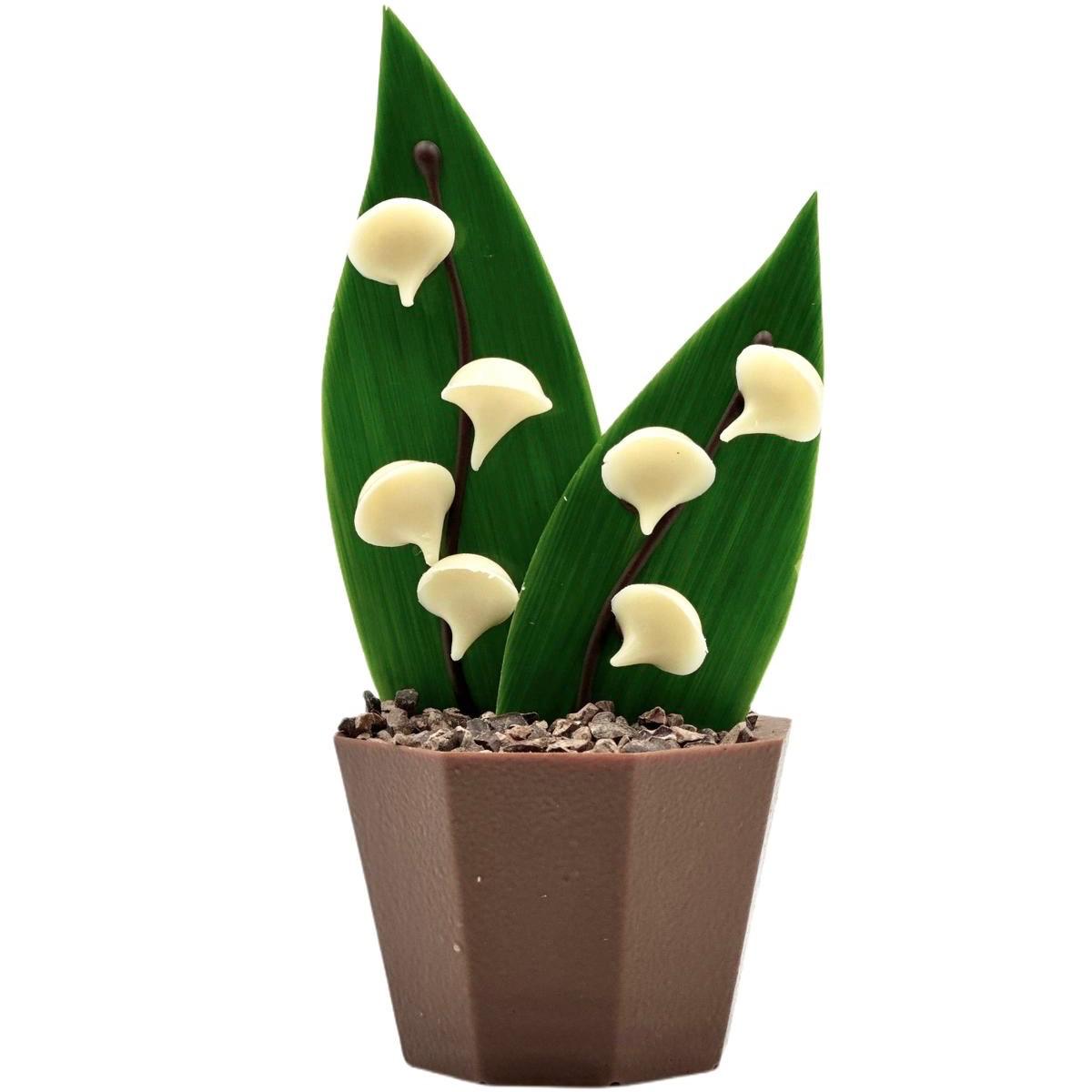 Muguet